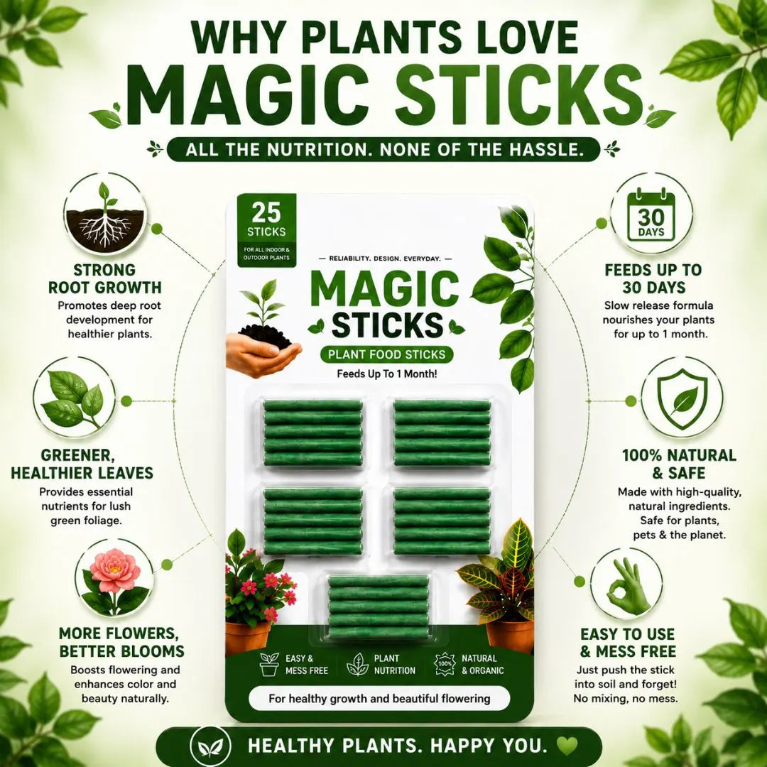 Healthy green plants thriving with nutrient sticks